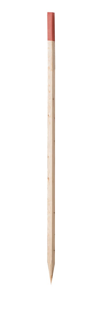 Survey stake