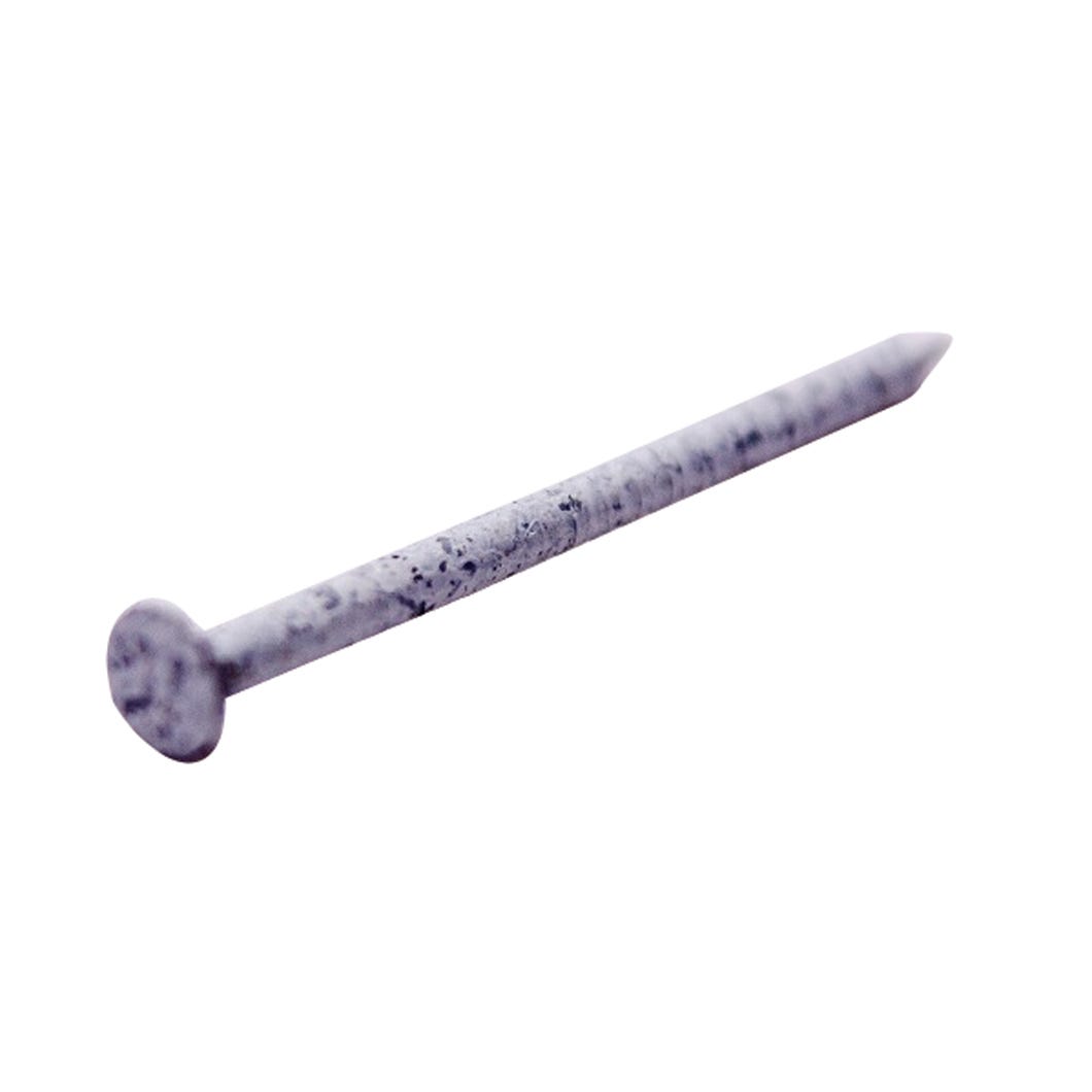 Trim Nails, Stainless Steel, Pure White, 1-1/4 in. 1/4 Lbs/Box