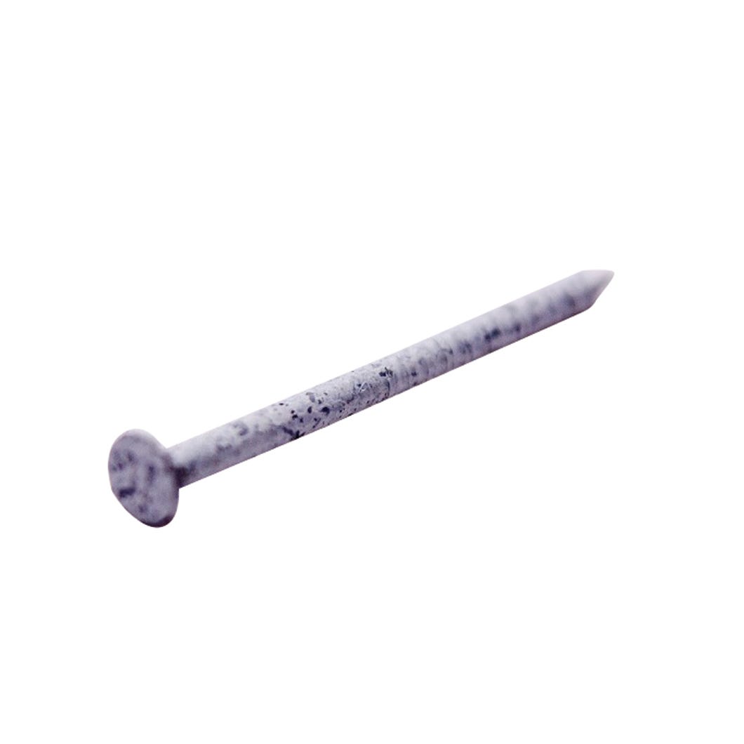 Trim Nails, Stainless Steel, Pure White, 1-1/4 in., 1 lb/Box