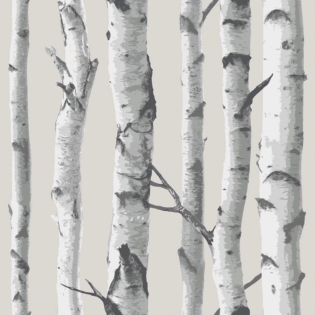Peel and stick wallpaper - birch pattern