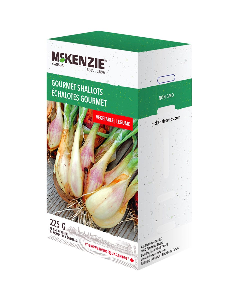 McKenzie Yellow Onion Sets, 225 G