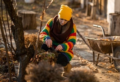 Protéger son jardin contre l’hiver