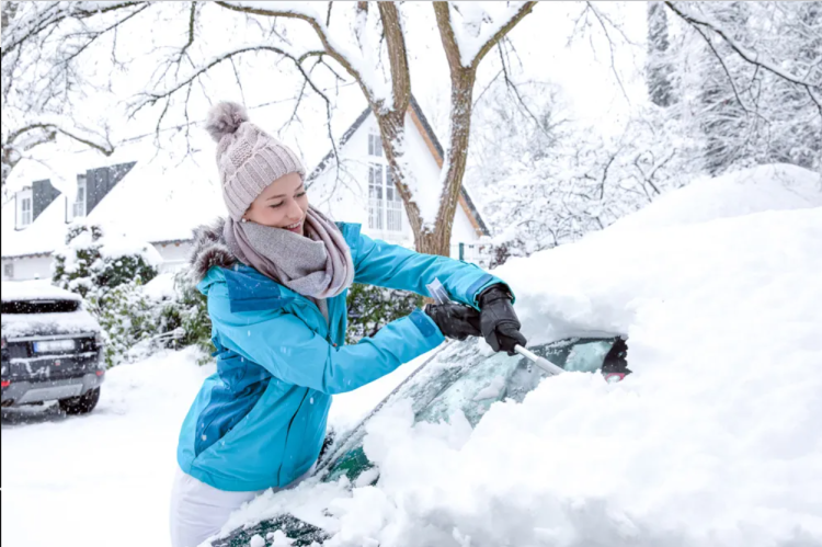 Everything you need to know about car shelters